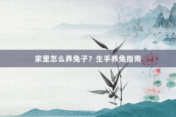 家里怎么养兔子？生手养兔指南